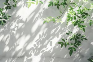 在留資格申請なら白行政書士事務所